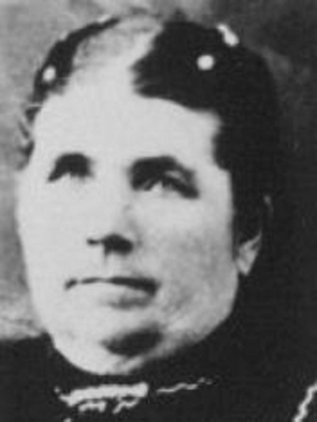 Mary McBride (1848 - 1910) Profile